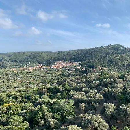 House With A View Διαμέρισμα Mesokhórion