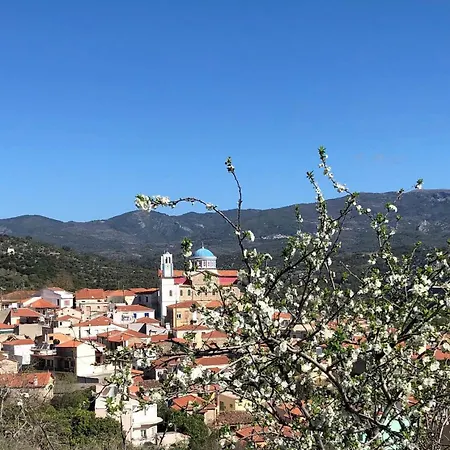 Διαμέρισμα House With A View